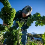 251030-farmland-data-center-stoecker-mn-0930-4c2d49