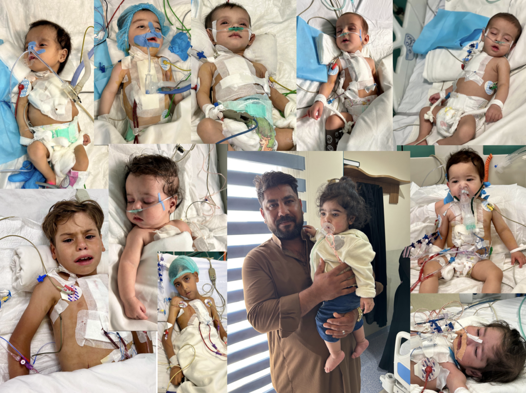 Paul Robert Vogt, Founder of EurAsia Heart Foundation: Transforming Cardiac Surgery Through Education and Charity